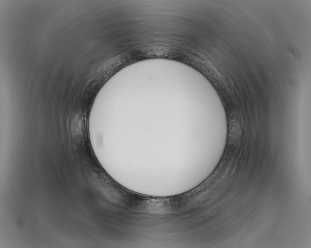 X0000114430126200911131339