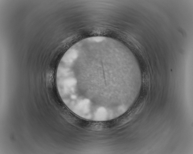 X0000114430127200911131339