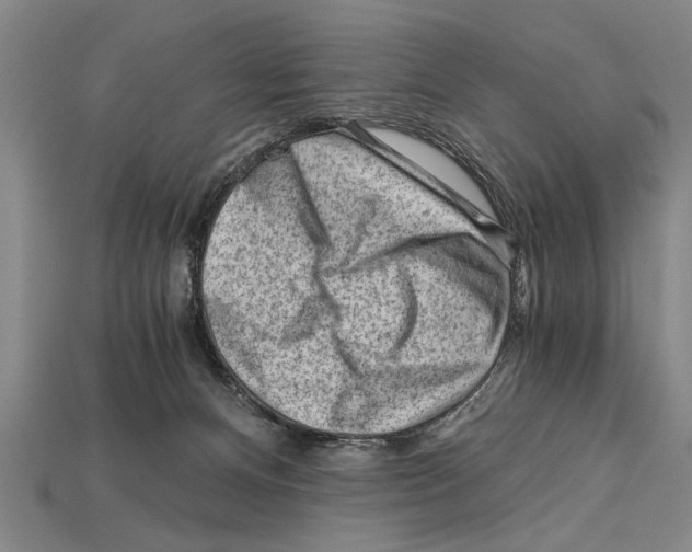 X0000114430128200911131339