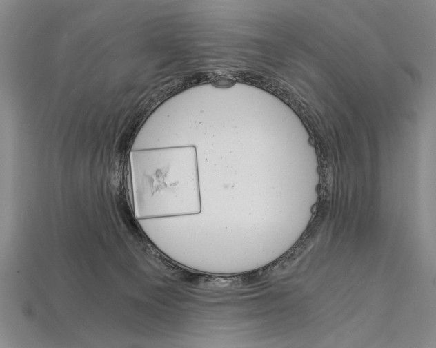 X0000114430129200911131339