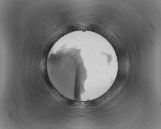 X0000114430131200911131339