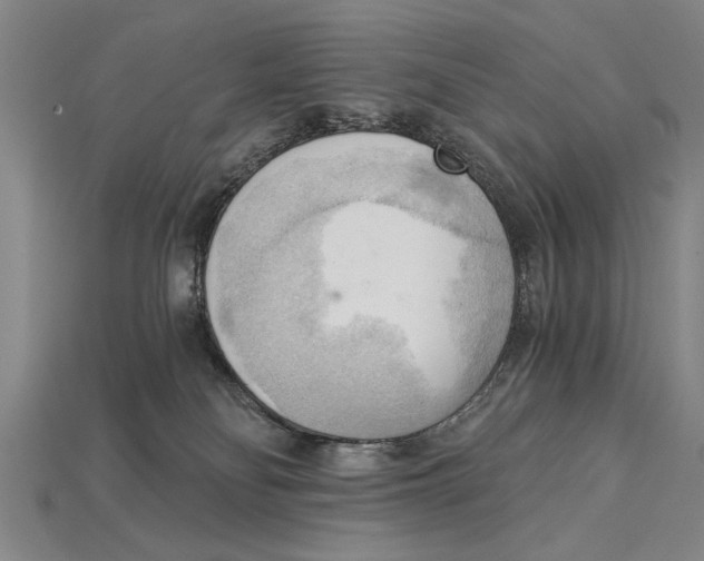 X0000114430134200911131339