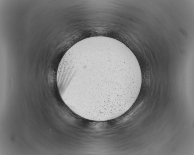 X0000114430135200911131339