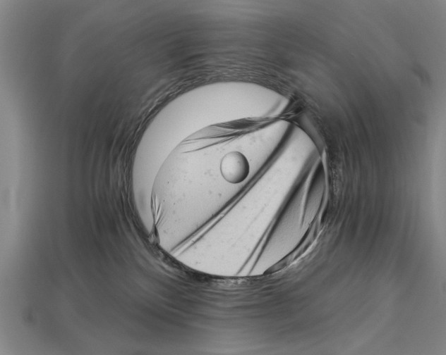 X0000114430136200911131339