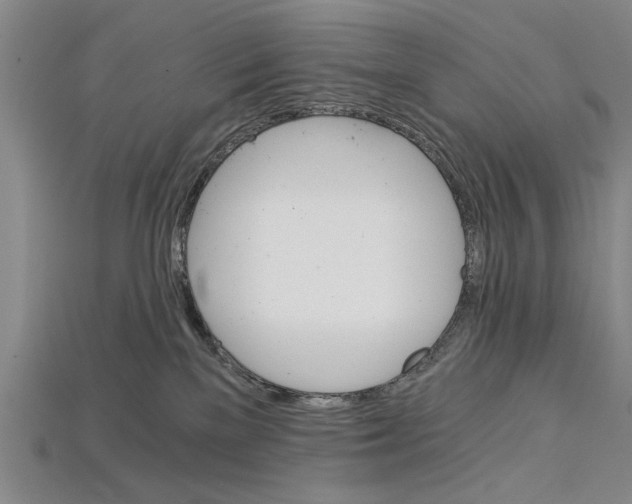 X0000114430137200911131339