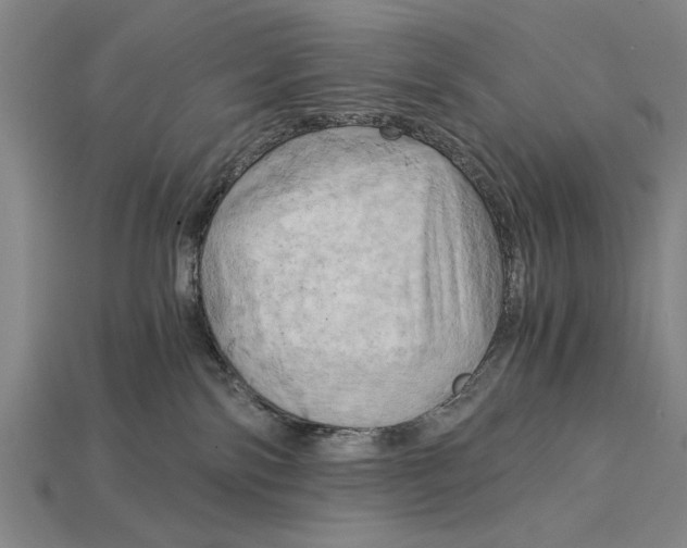 X0000114430138200911131339