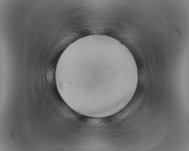 X0000114430139200911131339