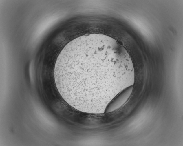 X0000114430140200911131339