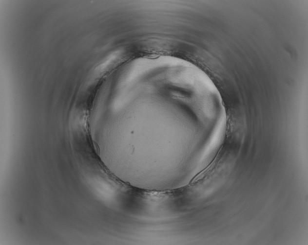 X0000114430141200911131339