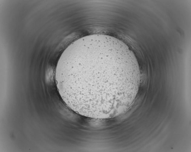 X0000114430142200911131339