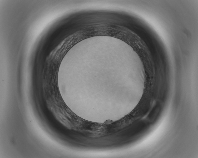 X0000114430143200911131339