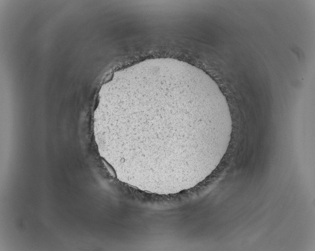 X0000114430144200911131339