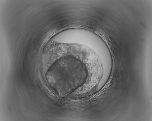 X0000114430145200911131339