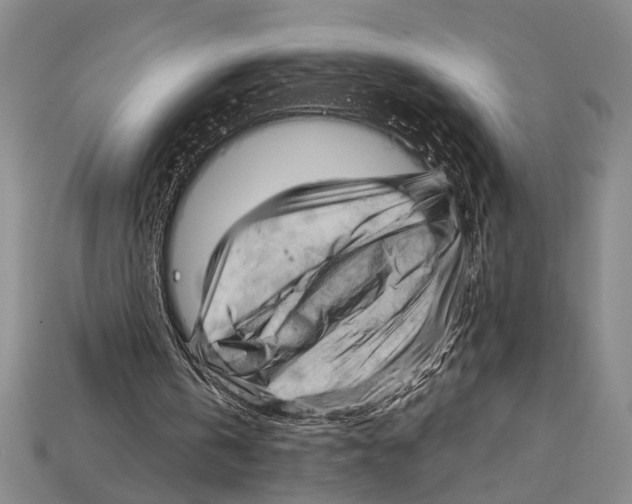 X0000114430146200911131339