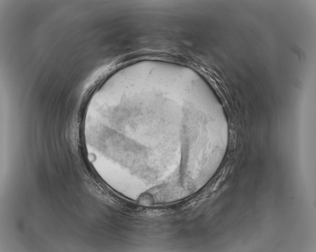 X0000114430149200911131339