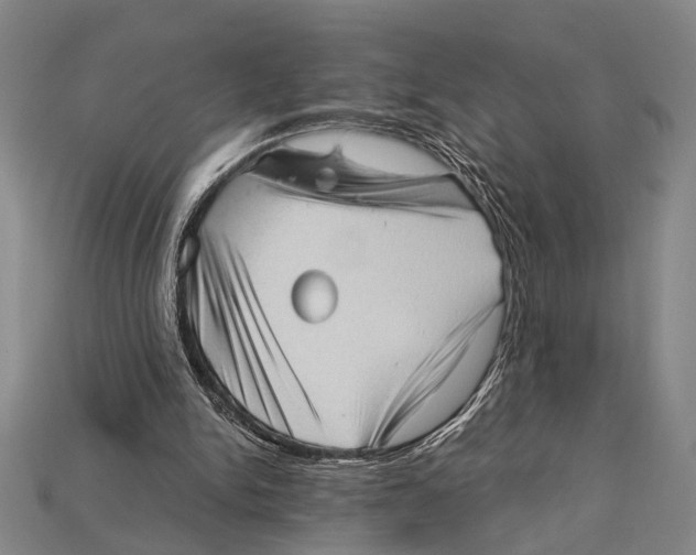 X0000114430150200911131339