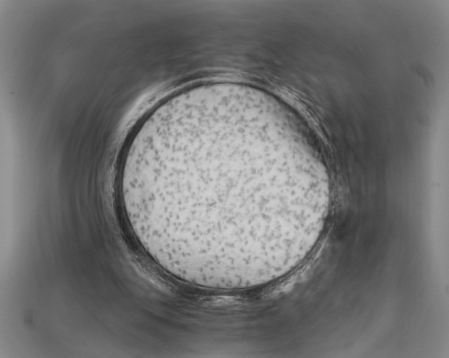 X0000114430151200911131339