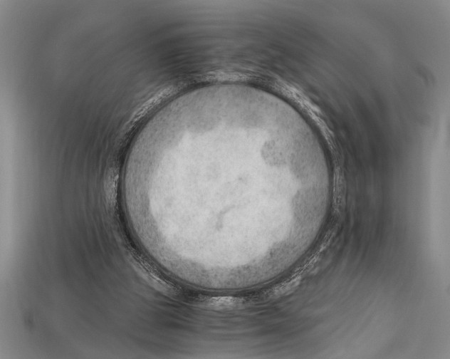 X0000114430153200911131339