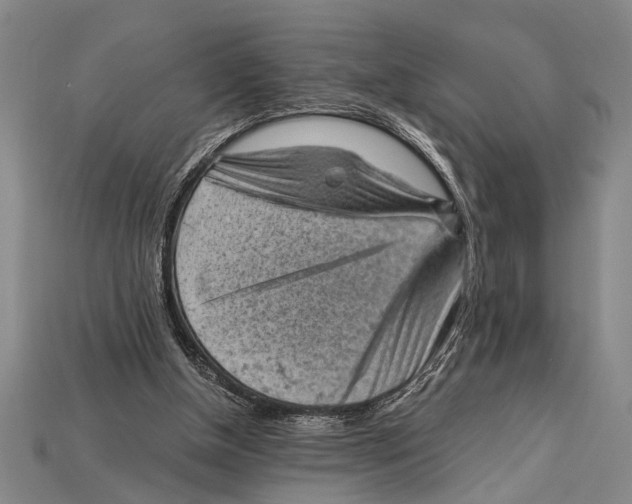 X0000114430154200911131339