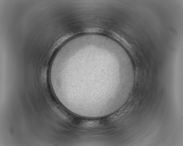 X0000114430155200911131339