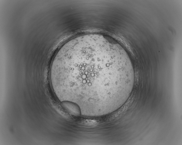 X0000114430159200911131339