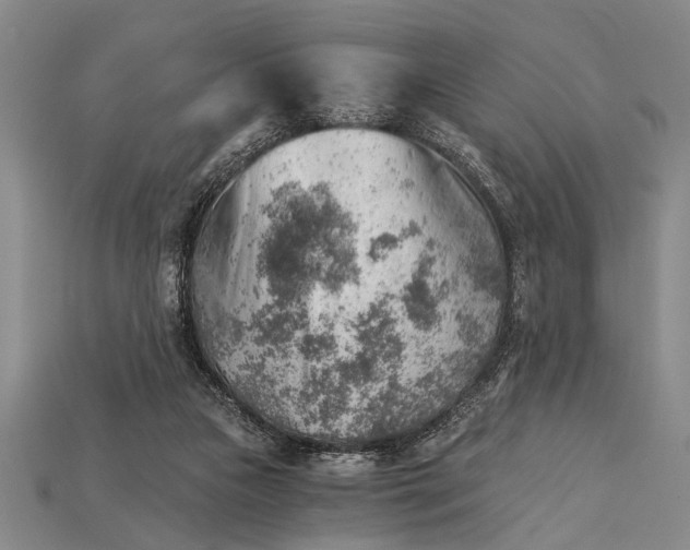 X0000114430161200911131339