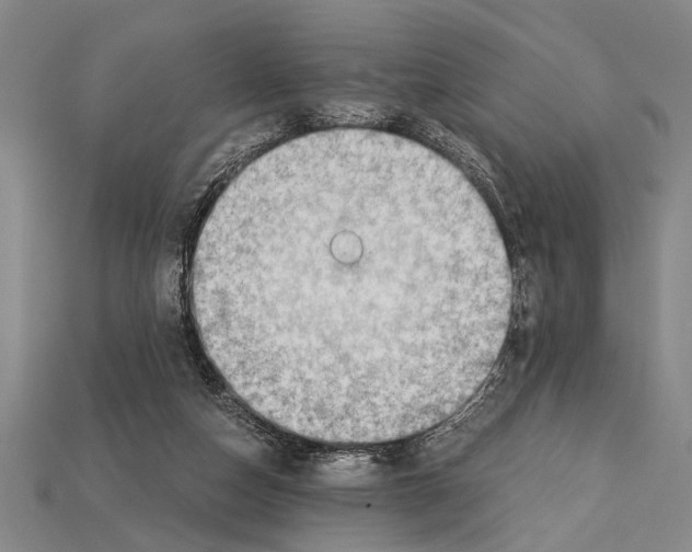 X0000114430162200911131339