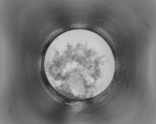 X0000114430163200911131339