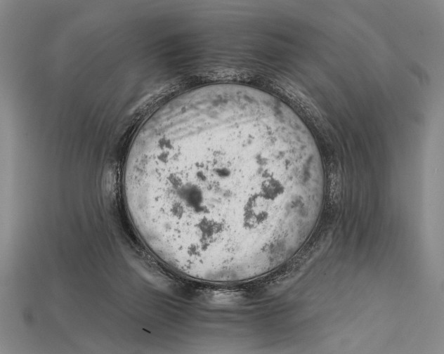 X0000114430165200911131339