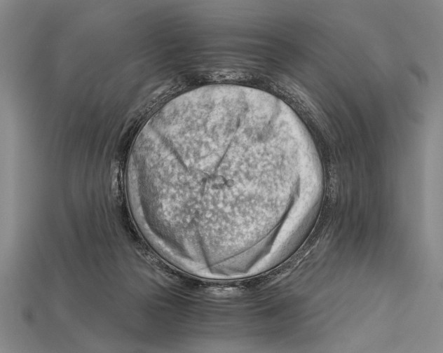 X0000114430169200911131339