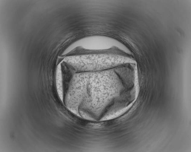 X0000114430170200911131339