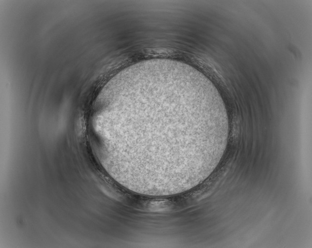 X0000114430173200911131339