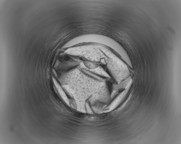 X0000114430174200911131339