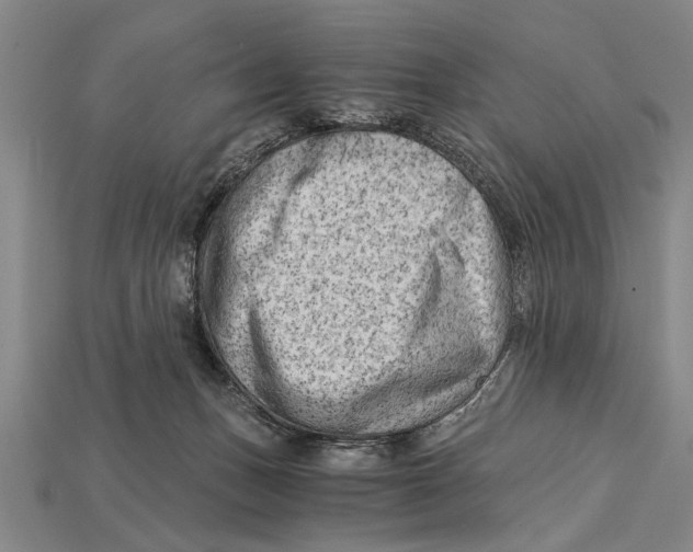 X0000114430175200911131339