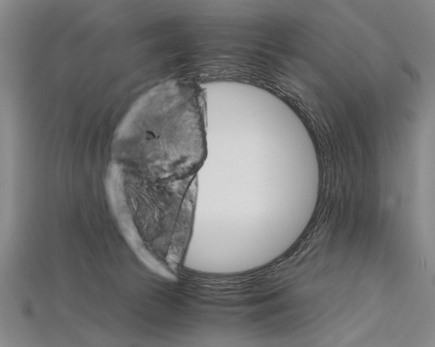 X0000114430177200911131339