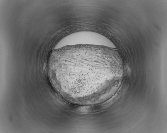 X0000114430178200911131339