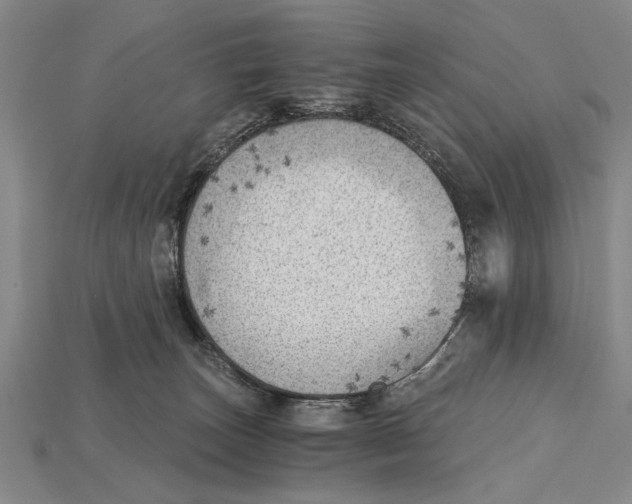 X0000114430179200911131339