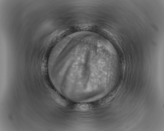 X0000114430181200911131339