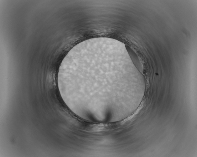 X0000114430182200911131339