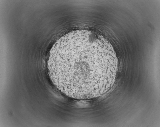 X0000114430183200911131339