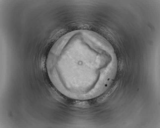 X0000114430185200911131339