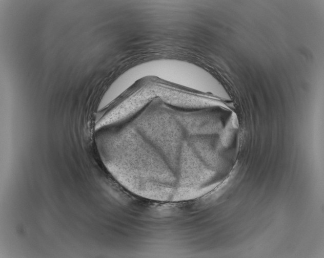 X0000114430186200911131339