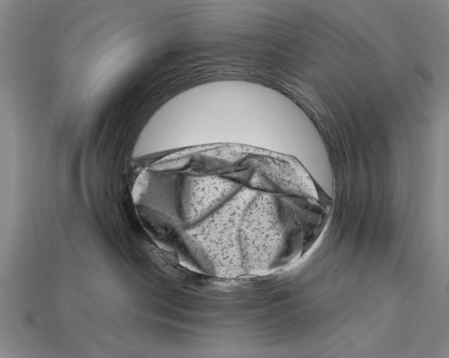 X0000114430190200911131339