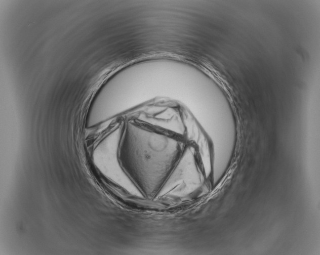 X0000114430193200911131339