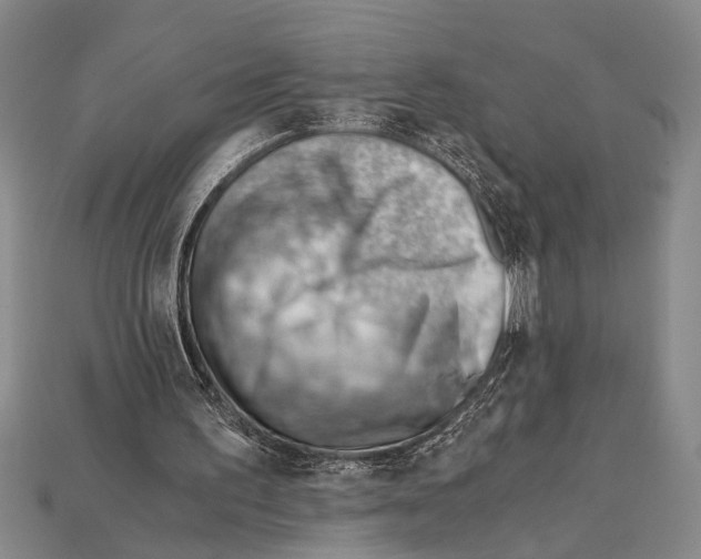 X0000114430195200911131339