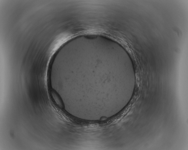 X0000114430196200911131339