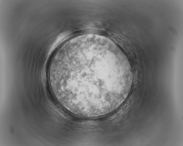 X0000114430198200911131339