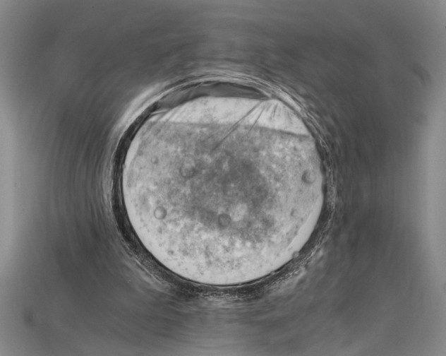 X0000114430199200911131339