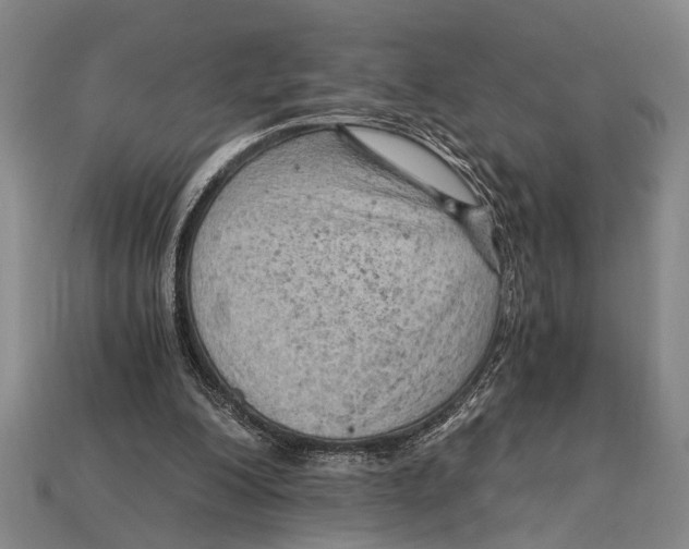 X0000114430200200911131339