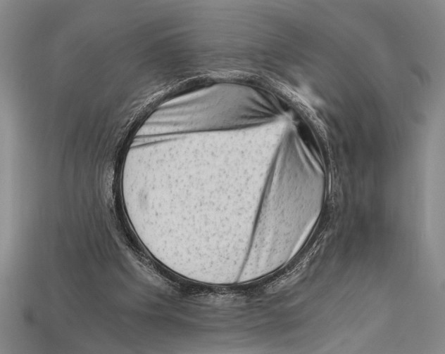 X0000114430201200911131339